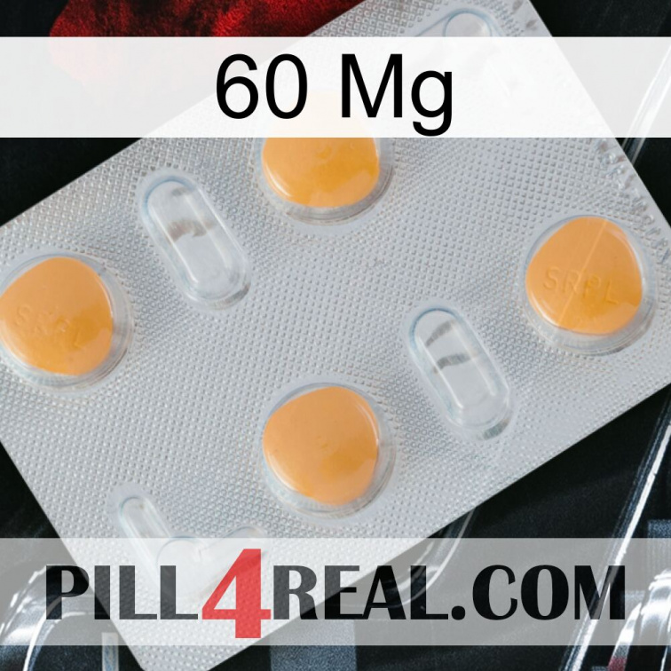 60Mg 24